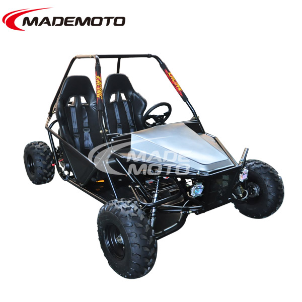 New 150cc 4 stroke go kart with 2 seats, automatic with reverse GY6 Engine